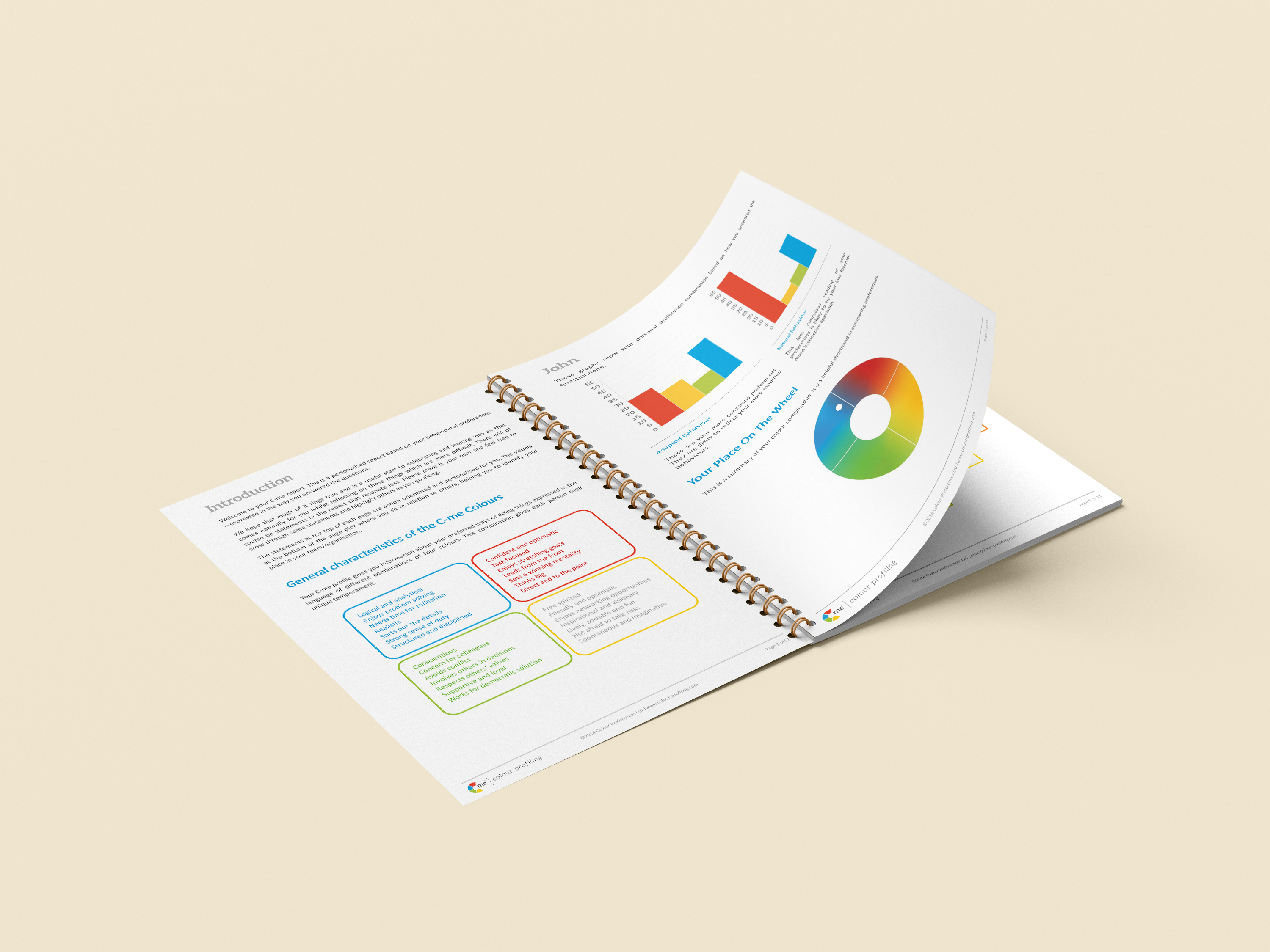 IntroPageReportMockup IntroPageReportMockup
