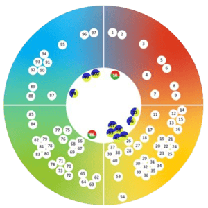 team_wheel_-_demo_page_-organisation.png-removebg-preview